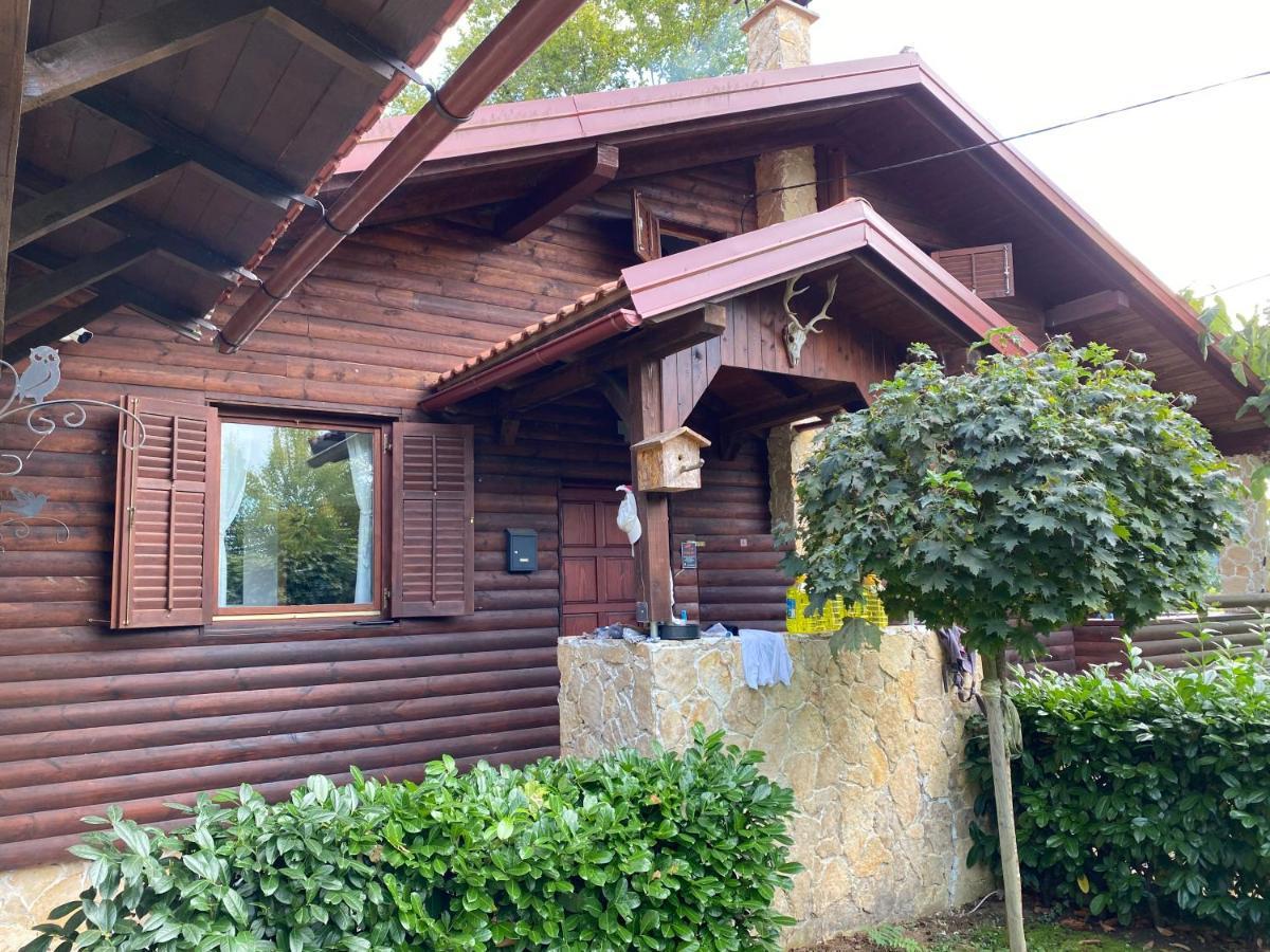 4Trees Holiday House Слуни Экстерьер фото