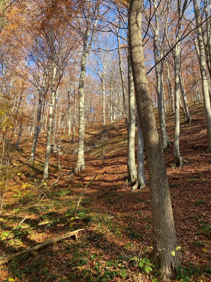 4Trees Holiday House Слуни Экстерьер фото